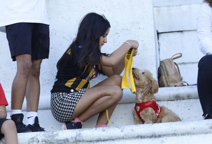 Ella identificó a un lindo perrito con una bufanda del Real España. 