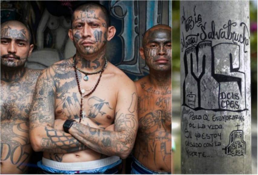 1. Mara Salvatrucha: Donald Trump prometió erradicar de las calles de Estados Unidos a la sanguinaria pandilla hispana MS-13, nacida en Los Angeles en los años 80 y hoy con unos 10.000 miembros en todo el país. La ofensiva del presidente busca deportar a todos los pandilleros originarios del Triángulo Norte de Centroamérica y que siembran el terror en las grandes ciudades de EUA.