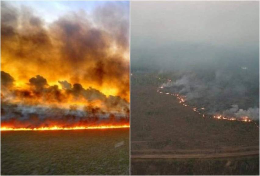 Las selvas de la Amazonia y otras regiones de Brasil están en llamas desde hace 16 días, provocando uno de los más grandes incendios de la historia en la zona.