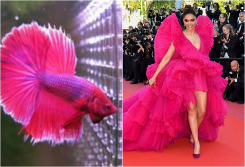 Los expertos en moda alabaron el vestido, por vanguardista y atrevido, el resto del internet, lo ha convertido en un meme.