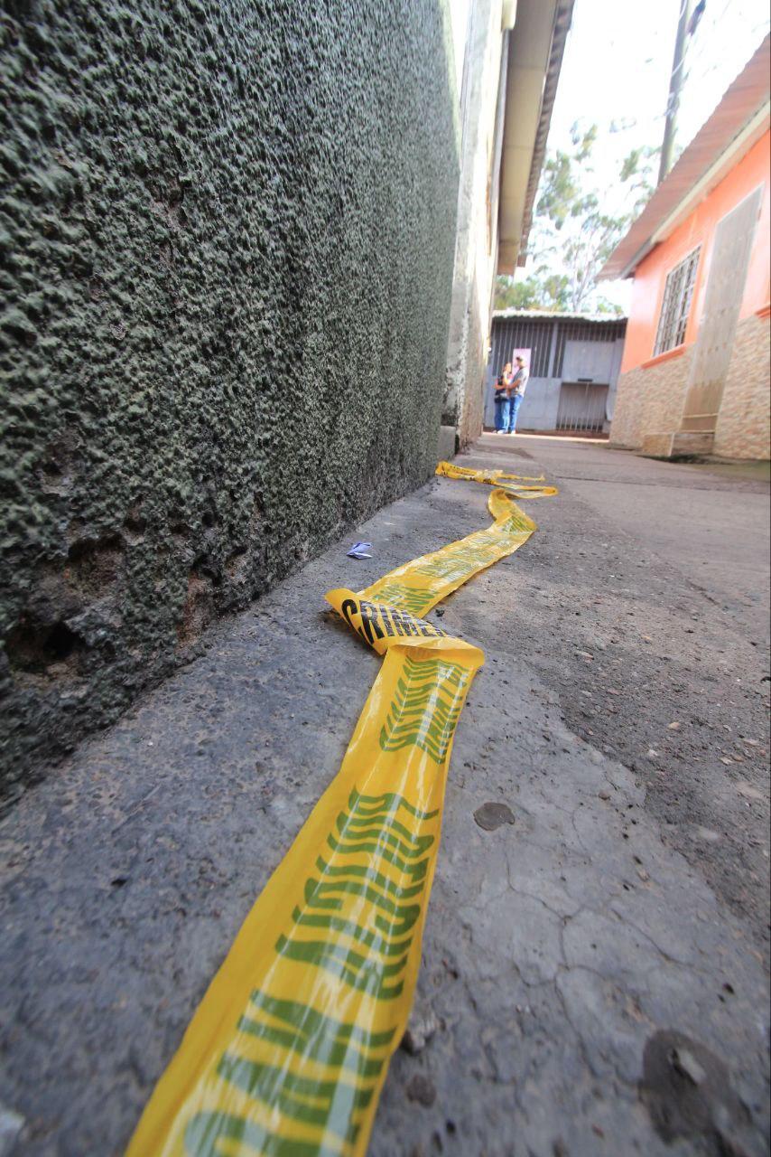 Así fue el brutal ataque del pitbull Zeus que acabó con la vida de don Alex Maldonado en TGU