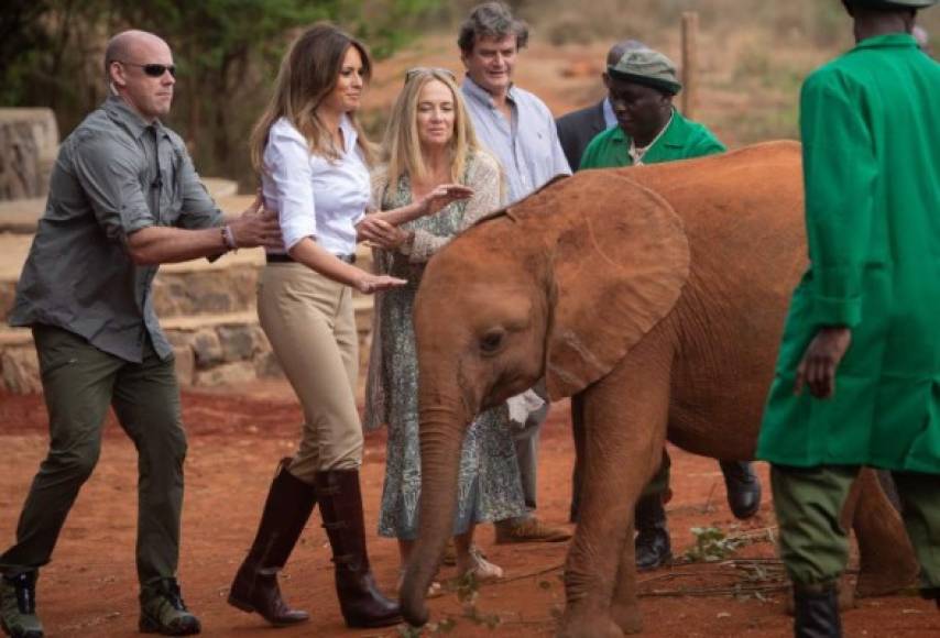 Vestida con una camisa blanca, pantalones y botas marrones, Melania alimentó a varias crías de elefante, primero con cierta cautela, y a medida que se sentía más cómoda entre risas y caricias afectuosas.