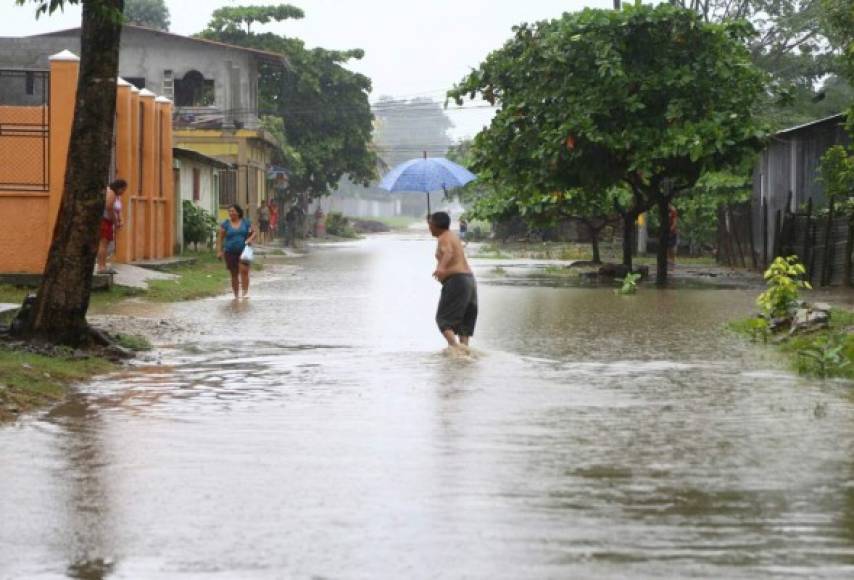 Afectadas varias colonias y barrios tras las lluvias en San Pedro Sula.