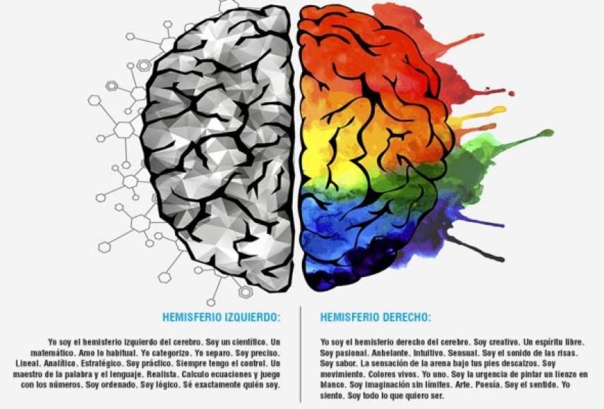 Si el hemisferio derecho del cerebro –que es el hemisferio creativo– es el predominante, la zapatilla la estará viendo con tonos rosados y blancos. Sucede lo contrario si es el hemisferio izquierdo del cerebro –que es el más analítico y matemático– es el que predomina, la zapatilla se verá en color gris y verde.