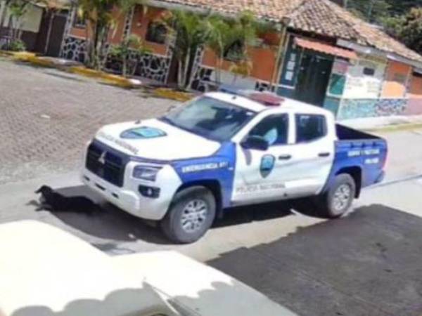 Video de seguridad muestra a la patrulla en la que se conducían los elementos policiales que atropellaron al animal.