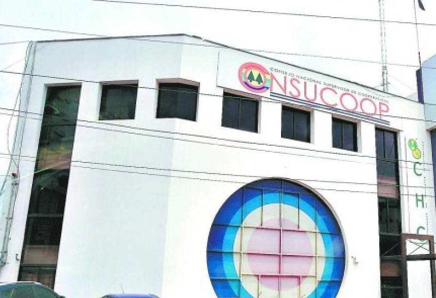Descubre cuántas cooperativas federadas operan en Honduras