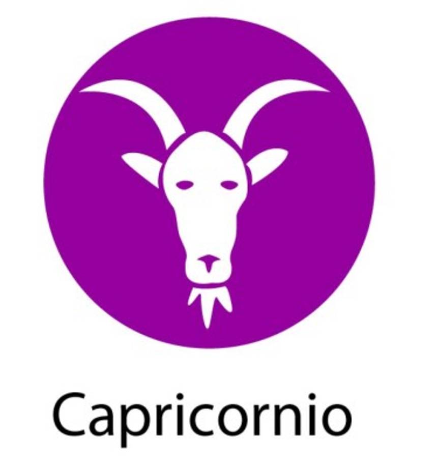 (22/12 al 19/1). Forma parte de los signos más ambiciosos y prácticos del zodiaco. Al aumentar sus esfuerzos podrá gozar aún más de su trabajo y hasta de recibir promociones.
