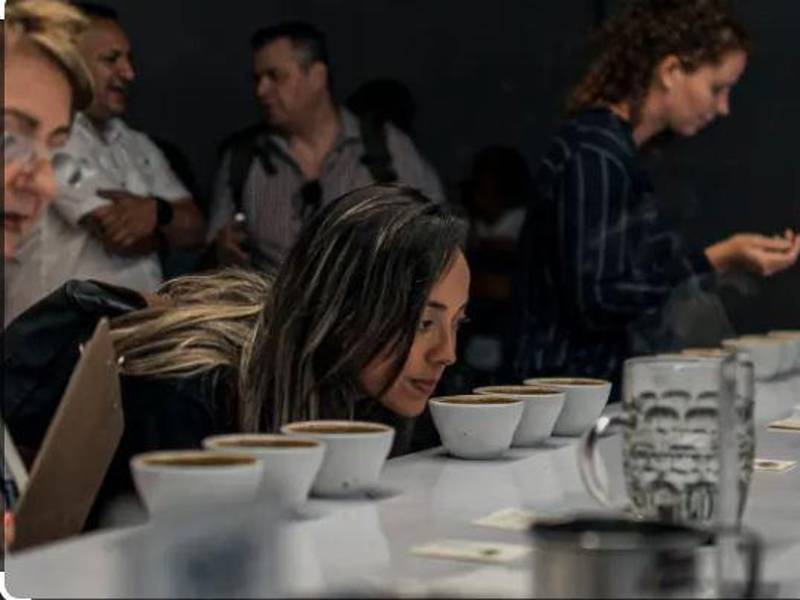 La catación de cafés especiales es parte del PRF 2026 El Salvador