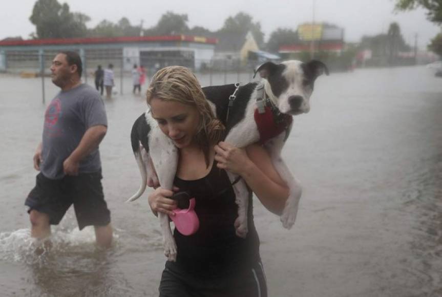 Esta joven llevó a su perro a cuestas hasta un refugio.