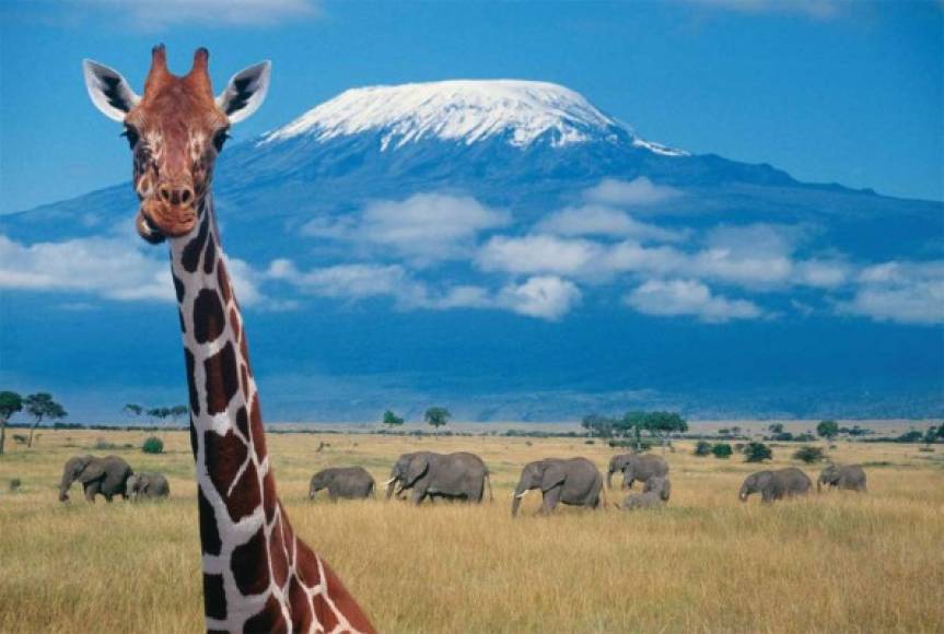 5. Kenia.<br/><br/>Kenia ofrece al viajero una incomparable gama de opciones para emprender recorridos turísticos y safaris de exploración. La increíble diversidad de paisajes, culturas, fauna y flora silvestre significan para el turista un sinfín de opciones y actividades para realizar.<br/><br/>El Monte Kilimanjaro es uno de los atractivos turísticos más emblemáticos del país africano.