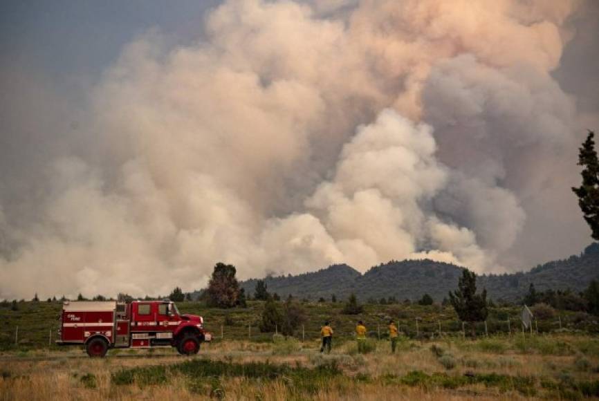 Las imágenes de la zona mostraban colinas y áreas boscosas en llamas y columnas de humo ascendiendo hacia el cielo. Los bomberos trabajan sin descanso para sofocarlas.