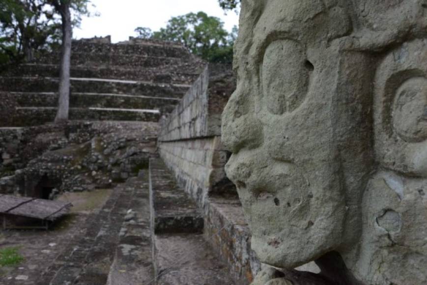 La ciudad fue la capital de la cultura y las ciencias de los mayas, cuyos dominios se extendieron en 324,000 km2 por el sur de México, Belice, Guatemala, Honduras y El Salvador. AFP