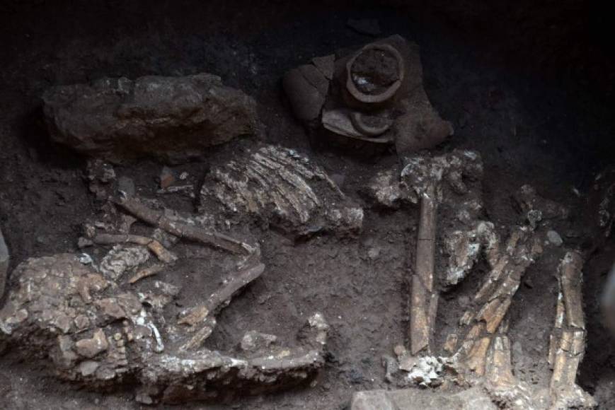 Los seis esqueletos fueron encontrados en la cima de una colina y probablemente están relacionados con la muerte de una élite o miembro de la familia real. AFP