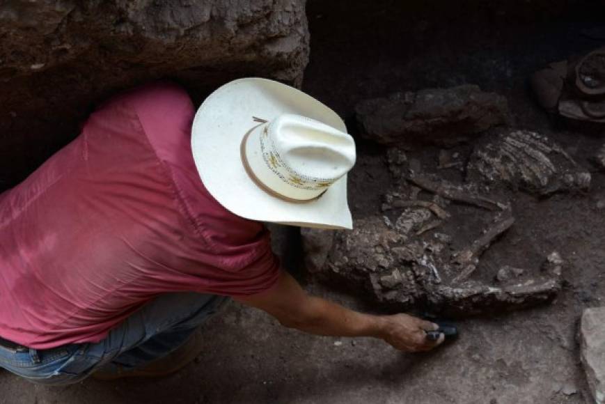 Un hombre trabaja en el sitio arqueológico donde se encontraron seis esqueletos humanos en el Parque Arqueológico de Copán. AFP