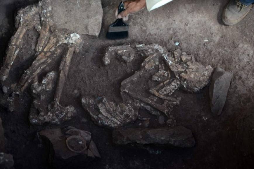 Uno de los seis esqueletos humanos encontrados por científicos japoneses en el Parque Arqueológico de Copán, Honduras. AFP