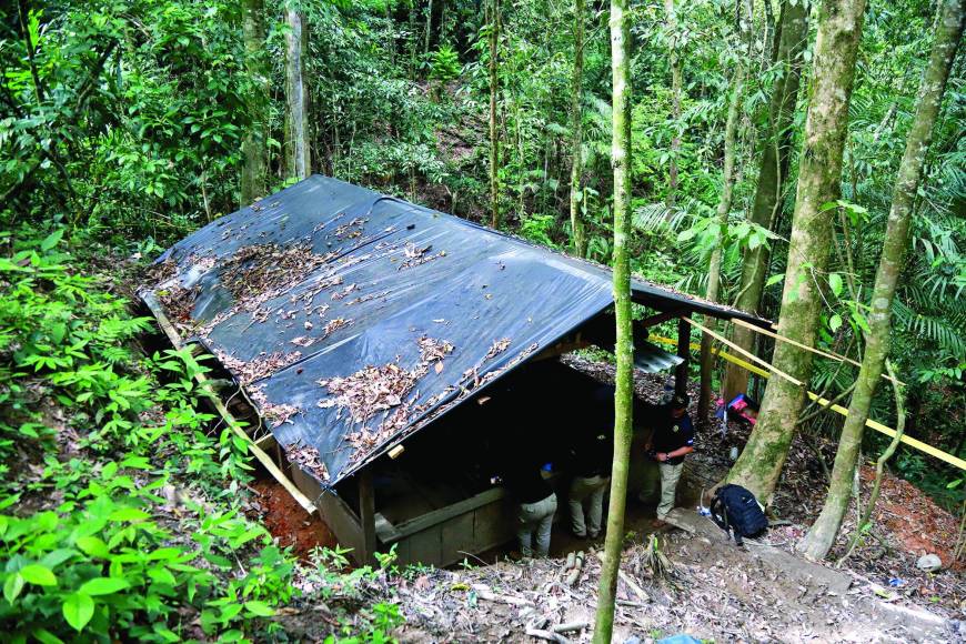 “Antes creíamos que solo en Colón estaba este problema de plantaciones de coca, pero ya este año varias instituciones antidrogas han descubierto en otras zonas como Olancho, Gracias a Dios y Cortés, y se han expandido de acuerdo a las zonas donde operan las estructuras de narcotráfico”, afirmó un agente antinarcóticos.