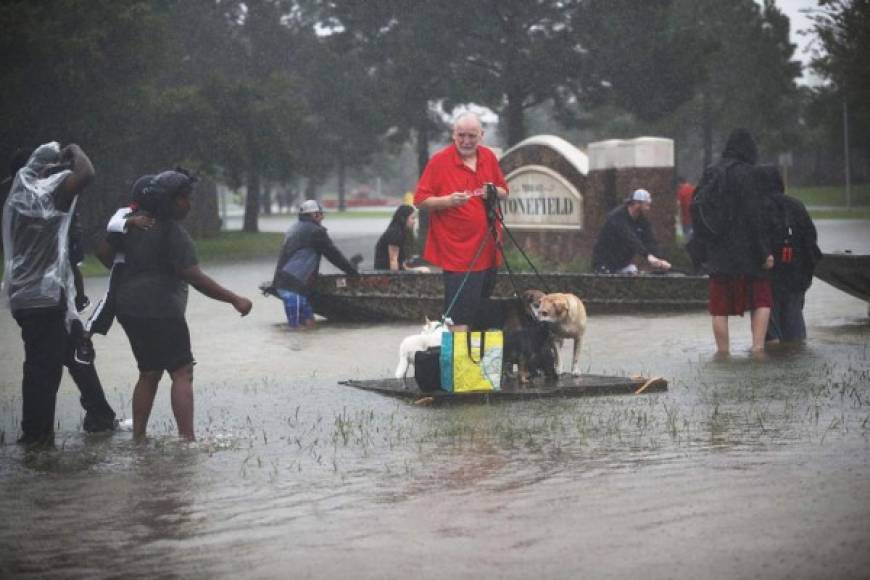 La Humane Society, la organización de protección animal más grande de Estados Unidos, ha recibido cientos de llamadas de desesperados dueños que piden ayuda para encontrar a sus mascotas perdidas en las inundaciones.