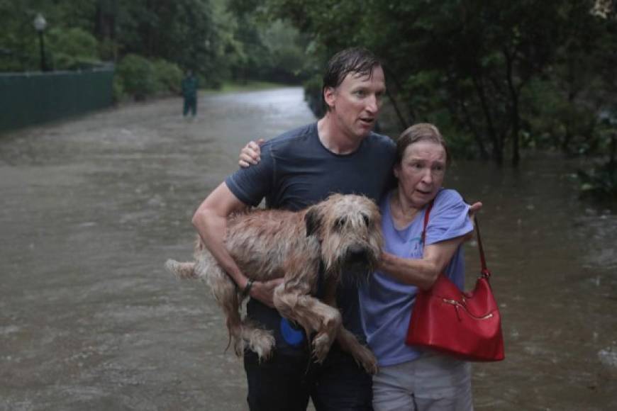 Las conmovedoras imágenes de los tejanos huyendo de las inundaciones junto a sus mascotas han dado la vuelta al mundo.