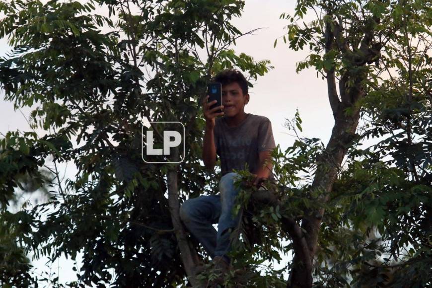 Este joven logró subirse hasta la parte más alta del árbol y con su celular estuvo grabando videos del partido UPN-Olimpia.