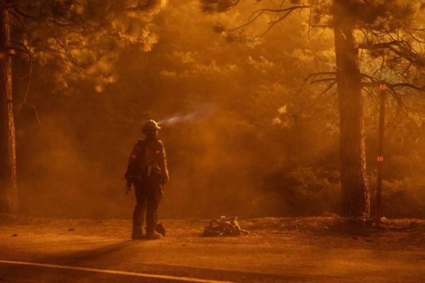 Decenas de incendios forestales siguen causando estragos en la costa oeste de Estados Unidos, donde al menos 16 personas murieron esta semana y más de medio millón fueron llamadas a abandonar sus hogares para huir de la llamas. AFP