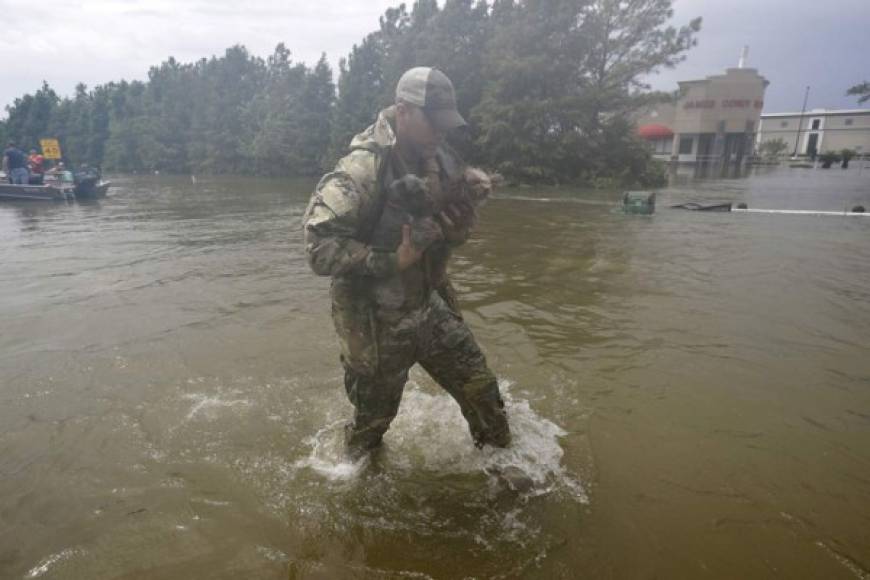 Un militar de la Guardia Nacional rescató dos perritos de las inundaciones en Houston.
