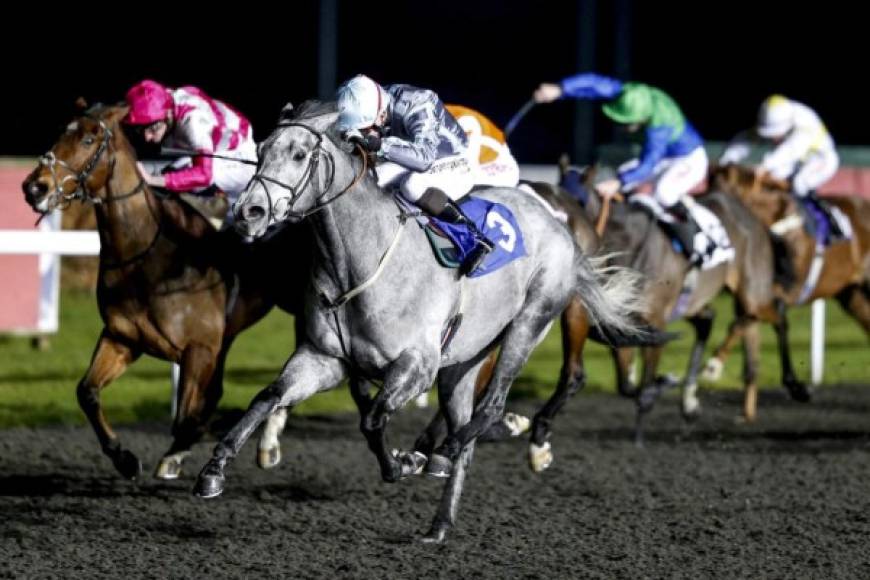 Carrera. <br/>Un triunfo muy gris. Edward Greatrex (3) monta a General Hazard para ganar la competencia Matchbook Betting en el hipódromo de Kempton, Sunbury, Reino Unido.