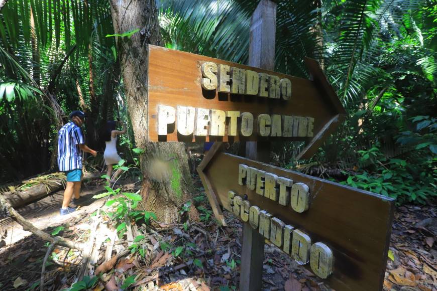 Parque Nacional Jeannette Kawas está ubicado al lado noroeste de la ciudad de Tela.