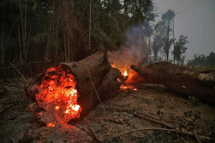 Más de un millar de nuevos incendios se declararon en las últimas horas en la Amazonía, mientras el ejército de Brasil intensifica los esfuerzos para aplacar las llamas que mantienen en vilo al mundo.