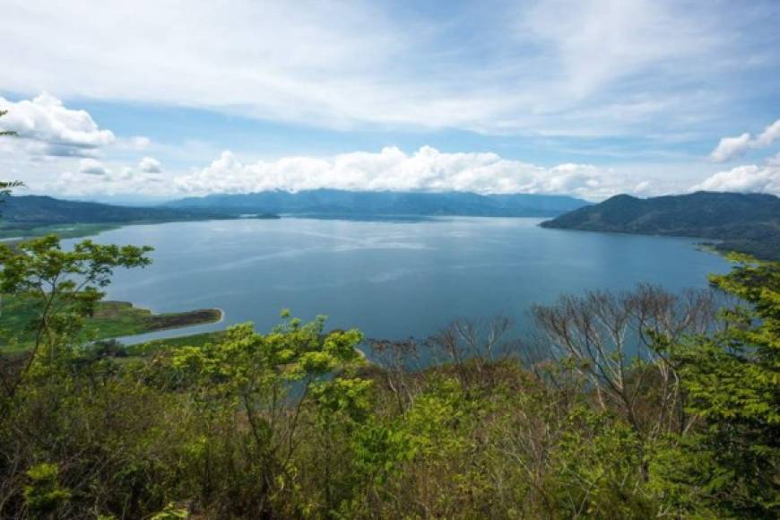 Una vista del Lago de Yojoa captada por los dos atrevidos turistas.