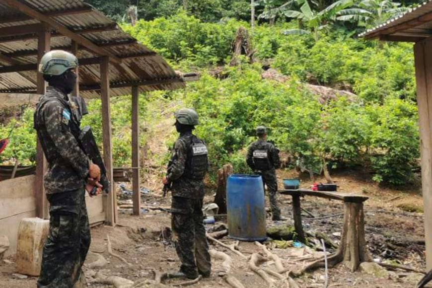 Efectivos de las Fuerzas Armadas resguardan el narcolaboratorio en cuyo interior encontraron picadoras y otras máquinas para elaborar la pasta base para la elaborar la cocaína.