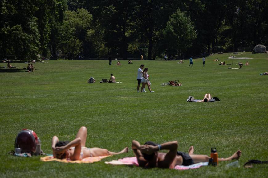 Más alto han llegado hoy las temperaturas en Italia, con máximas de hasta 42 grados en el centro y norte del país y el pronóstico de que subirán más a lo largo de la semana hasta poner en alerta roja hasta a catorce ciudades incluyendo Bolonia, Florencia, Milán, Génova, Turín y Roma, que hoy registraba 38 grados.