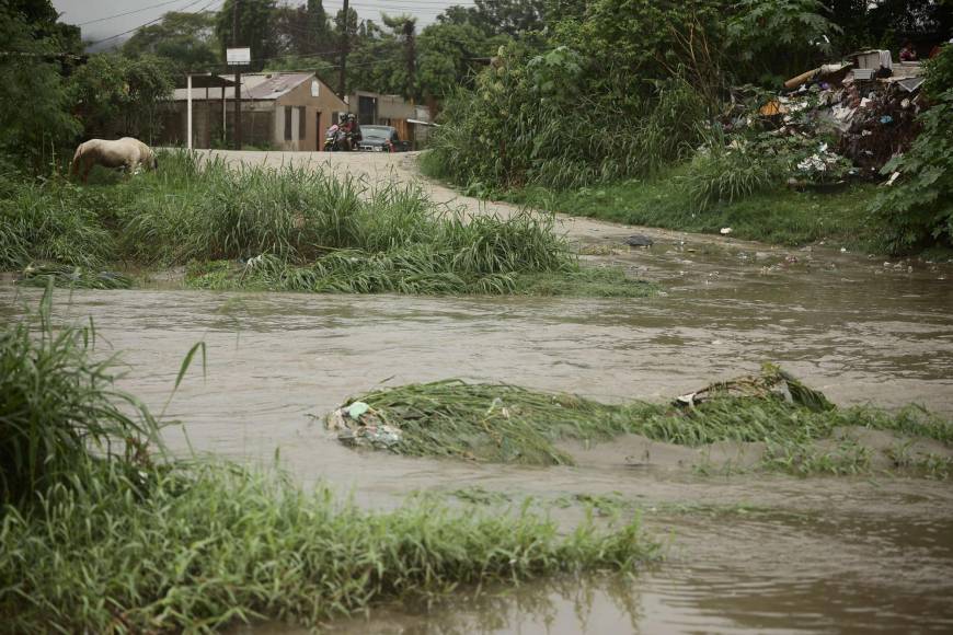 Fotos: Fantasma de inundaciones acecha a La Lima