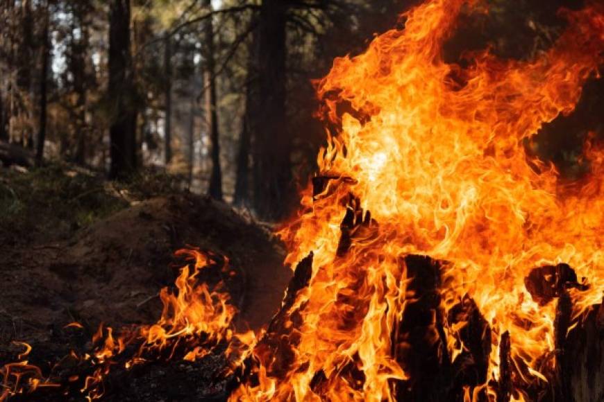 Pese a los importantes avances de las últimas horas, las autoridades mantienen su pronóstico de que el gigantesco fuego no podrá considerarse completamente controlado hasta principios del mes de octubre y que para su extinción total será necesario que llueva, algo que no está previsto que ocurra en las próximas semanas.