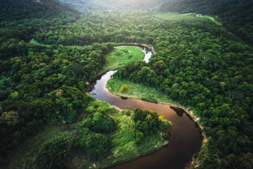 - Mas del 20 % destruido por la mano del hombre<br/><br/>Según cálculos de organizaciones ecologistas, cerca del 20 % de la Amazonia ha sido destruida durante los últimos 50 años por la acción depredadora del hombre, que ha avanzado sobre la selva para expandir fronteras agrícolas o explotar riquezas minerales.