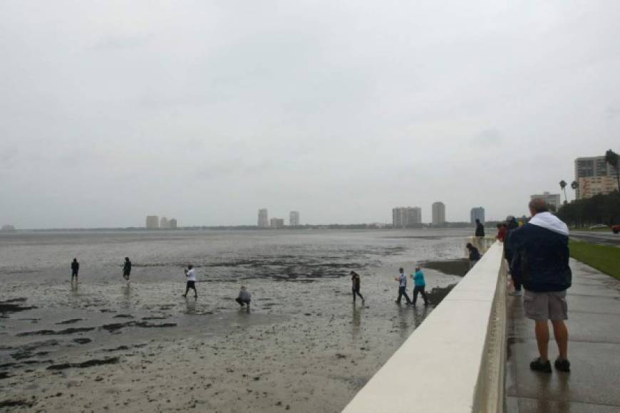Los residentes de Tampa fueron sorprendidos por la 'desaparición' del mar en la bahía apenas unas horas antes de la llegada del poderoso huracán Irma. El extraño fenómeno es causado por la fuerza del ciclón y la baja presión que succiona el agua hacia el centro de la tormenta.