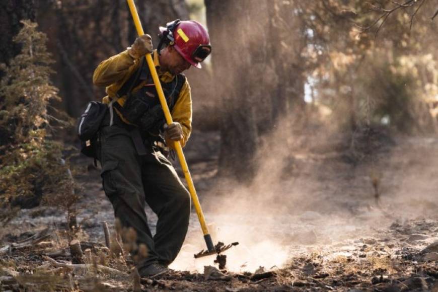 En Canadá, al norte de la frontera, los fuertes vientos y la extrema sequedad están dificultando las tareas de extinción de los incendios activos en el oeste y centro del país. Los siniestros han ganado terreno, en gran medida, por la intensa ola de calor que ha azotado a EEUU y Canadá.