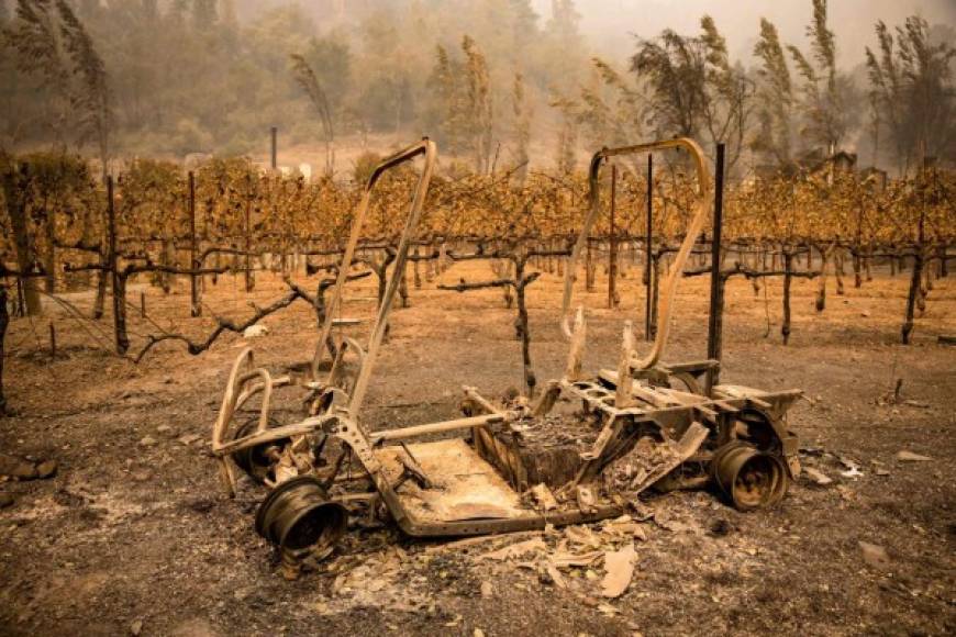 TOPSHOT - The remains of a golf cart burned by the Glass Fire sits next to a vineyard at Calistoga Ranch in Calistoga, Napa Valley, California on September 30, 2020. - Two California wildfires that ravaged Napa's famous wine region and killed three people exploded in size Tuesday as firefighters faced a weeks-long battle to contain the blazes. (Photo by Samuel Corum / AFP)