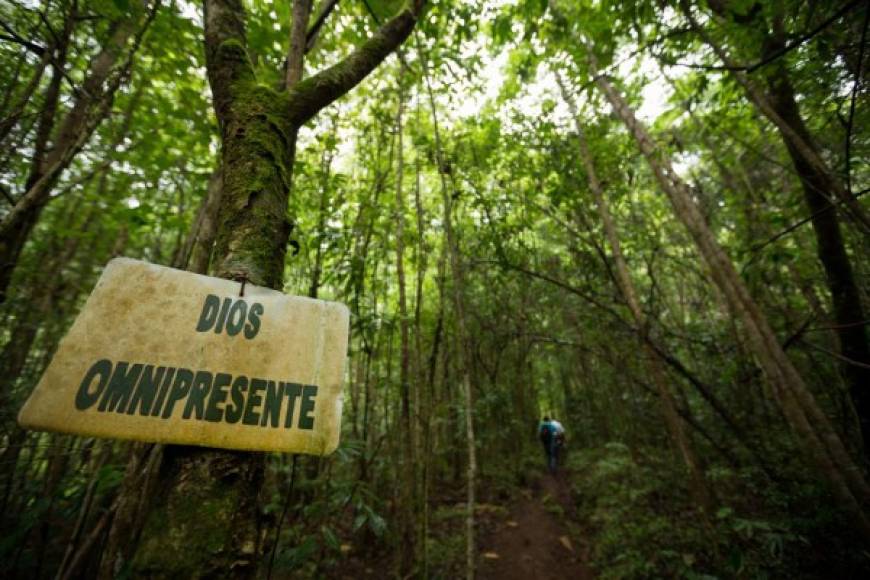 Aunque existen varios senderos, el más popular es el que lleva directamente a la cima del cerro Las Minas, el punto más alto de Honduras.