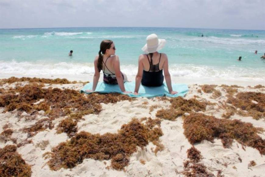 Desastre ambiental en el Caribe: El sargazo invade playas mexicanas