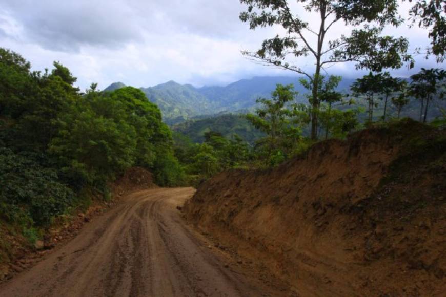 La Zona de Reserva de la Cordillera del Merendón, que ocupa 395 km2 y vertiente Oeste y la zona del valle de Sula. <br/><br/>En la zona del Merendón se encuentran las fuentes productoras de agua para abastecimiento de la ciudad y parte del ecosistema Parque Nacional Cusuco.