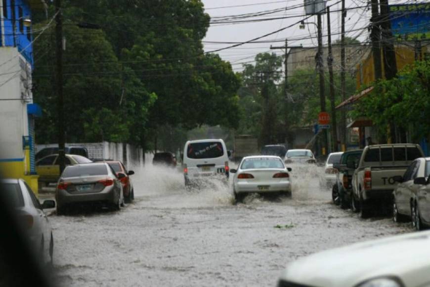 La tormenta con vientos huracanados que duró cerca de media hora dejó árboles caídos y calles inundadas en el centro de San Pedro Sula.