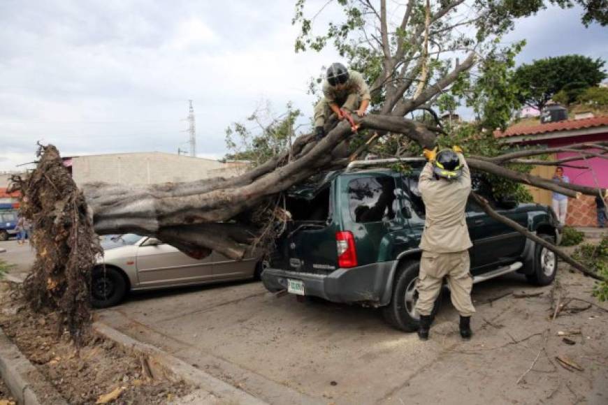 La llegada de las lluvias a Honduras a causa de una vaguada trajo consigo las primeras emergencias por la caída de árboles y vientos fuertes que afectaron ciudades como Tegucigalpa, San Pedro Sula y Danlí.