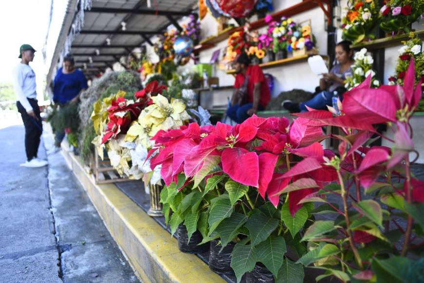 En el mercado Guamilito son varios los vendedores que ya ofrecen las flores de Pascua. El valor de la planta en estos locales va desde los L200.