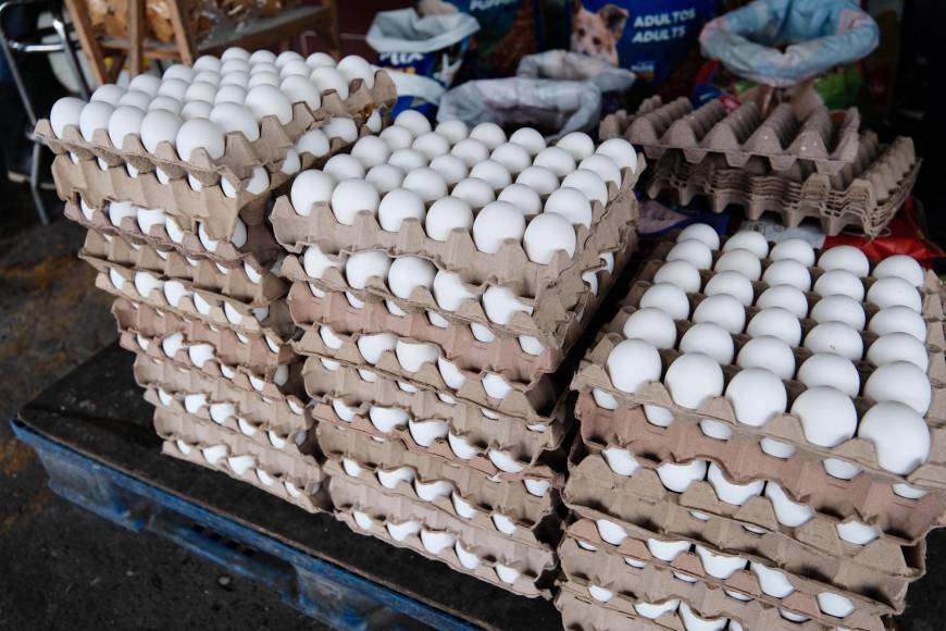 El cartón de huevos grande bajó de precio en relación a la semana pasada. Estaba en L135 y de momento se ofrece a L120. 