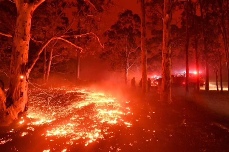 Miles de bomberos trabajan para contener las llamas que arden desde hace meses y han calcinado una superficie superior a la de Costa Rica.