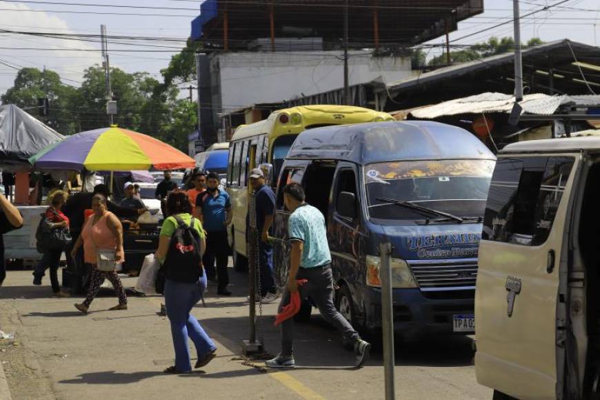 Nelson Fernández, presidente de la Federación de Transporte de Servicio Especial de Honduras (Fetraseh), aseguró a LA PRENSA Premium que las unidades van a ser completamente nuevas.
