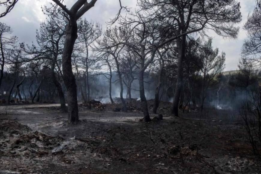 El país, que activó el mecanismo europeo de protección civil, está contando con la ayuda, especialmente de medios aéreos, de España, Francia, Israel, Bulgaria, Turquía, Italia, Macedonia, Portugal y Croacia, mientras recibe mensajes de condolencia desde el extranjero.