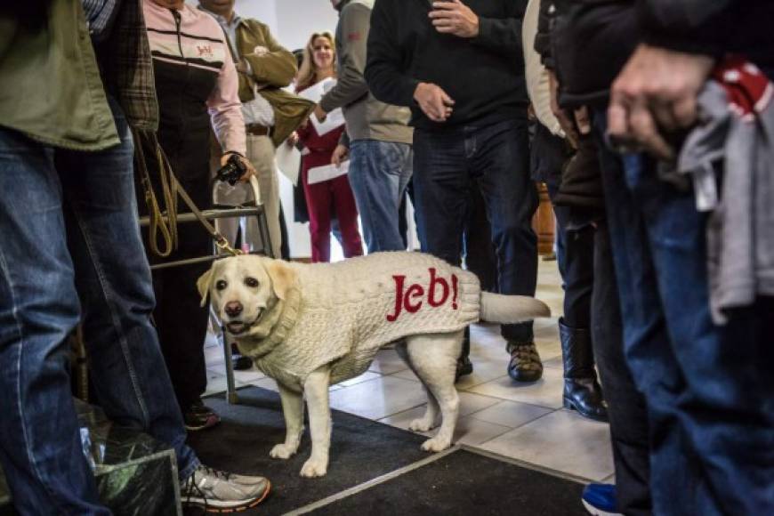 Una mascota muestra su apoyo al exgobernador de la Florida, Jeb Bush.