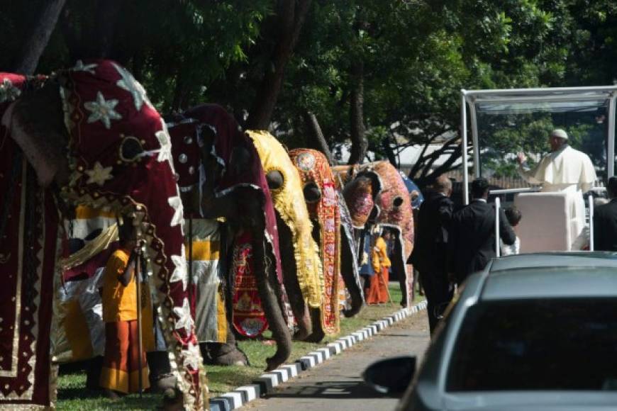 Con un desfile de al menos 40 elefantes fue recibido el papa Francisco en Sri Lanka.