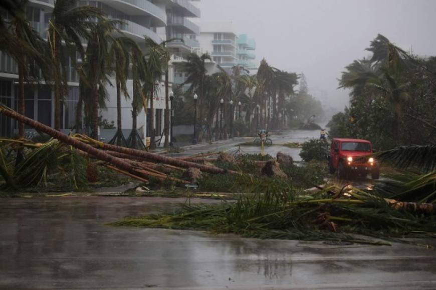 MIAMI BEACH, FL - SEPTEMBER 10: A vehicle passes downed palm trees and two cyclists attempt to ride as Hurricane Irma passed through the area on September 10, 2017 in Miami Beach, Florida. Florida is taking a direct hit by the Hurricane which made landfall in the Florida Keys as a Category 4 storm on Sunday, lashing the state with 130 mph winds as it moves up the coast. Joe Raedle/Getty Images/AFP<br/><br/>== FOR NEWSPAPERS, INTERNET, TELCOS & TELEVISION USE ONLY ==<br/><br/>